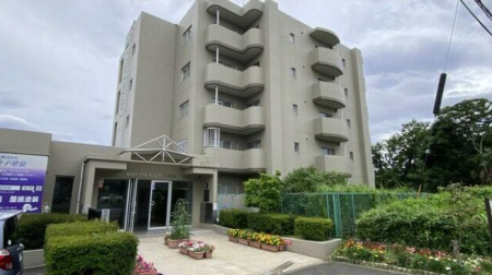 _ސ쌧ls˒ˋ˒˒̒Ã}V̌nOώʐ^