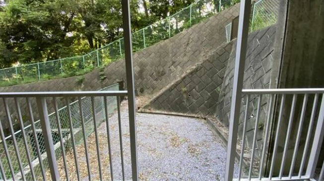 _ސ쌧ls˒ˋ˒˒̒Ã}V̒