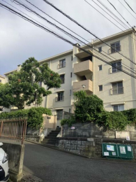 �_�ސ쌧���l�s�ۓy�P�J���Ց�̒��Ã}���V�����̉摜