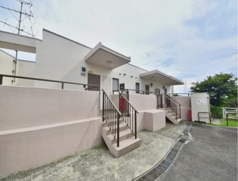 �_�ސ쌧���l�s�˒ˋ�˒˒��̒��Ã}���V�����̉摜